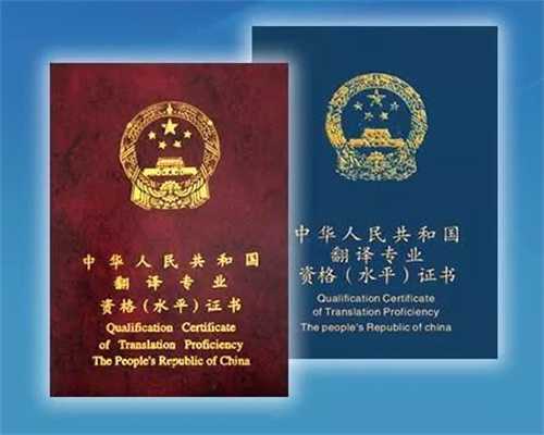 营销创意与全球SEO技巧