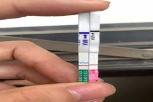 高龄备孕试管