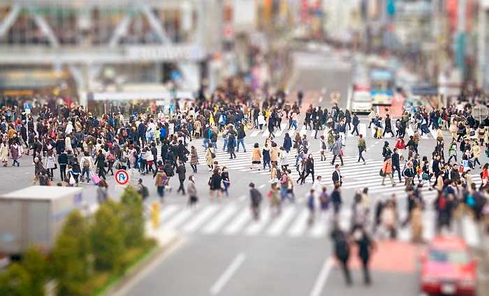 翻译公司